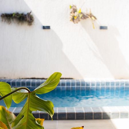 Casa Kayak - Villa Remo Milagres Piscina Privativa São Miguel dos Milagres Εξωτερικό φωτογραφία