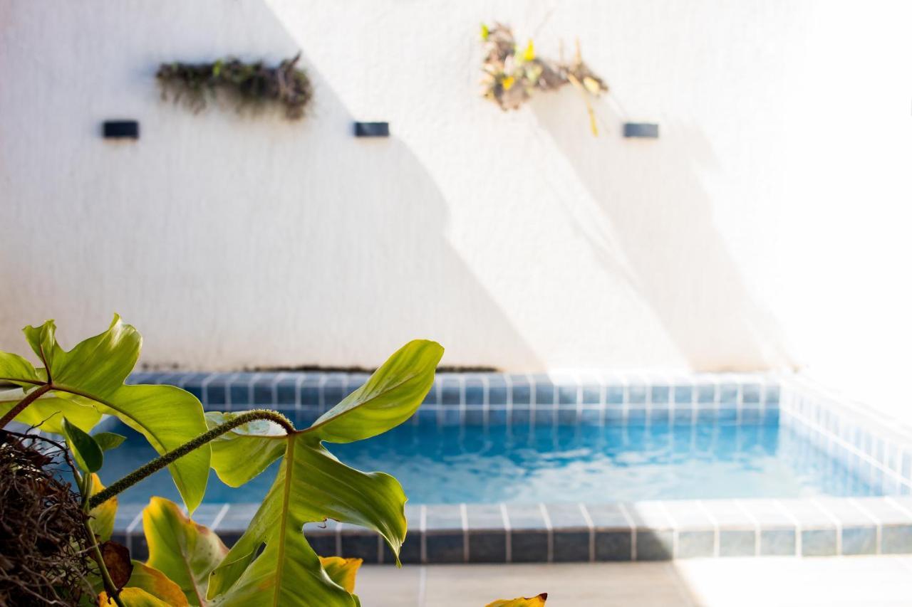 Casa Kayak - Villa Remo Milagres Piscina Privativa São Miguel dos Milagres Εξωτερικό φωτογραφία
